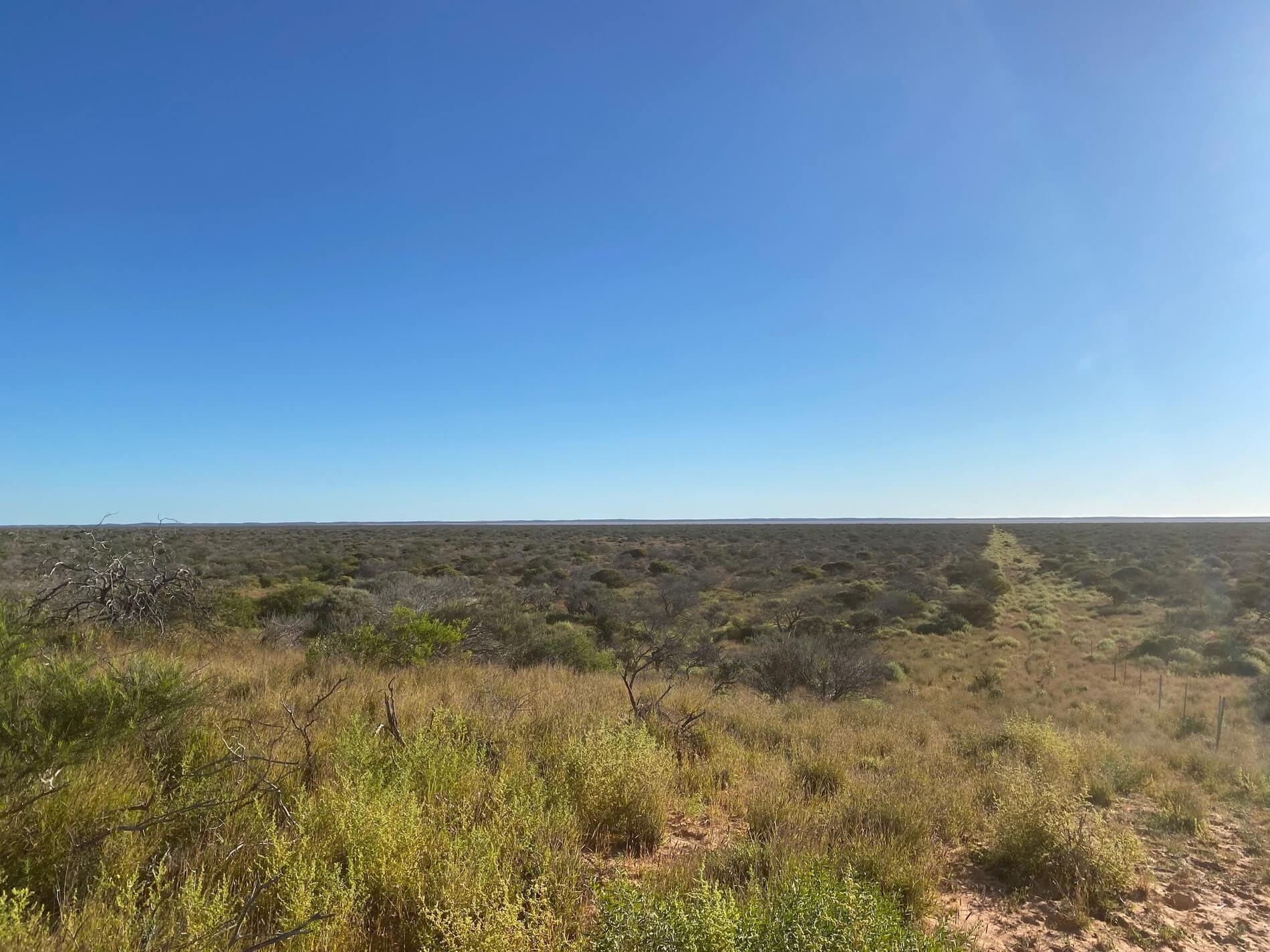 Boolathana Station landscape