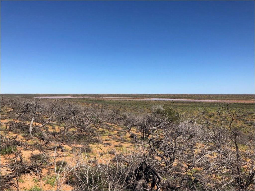 Flora fauna and marine baseline environmental studies progressing - Boolathana