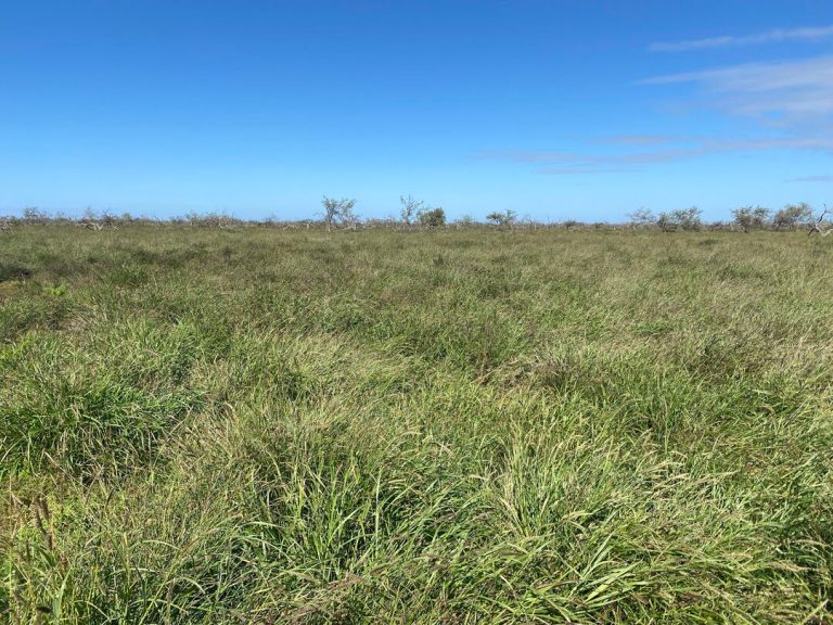 Renewable energy development potential for Gascoyne Green Energy Boolathana project