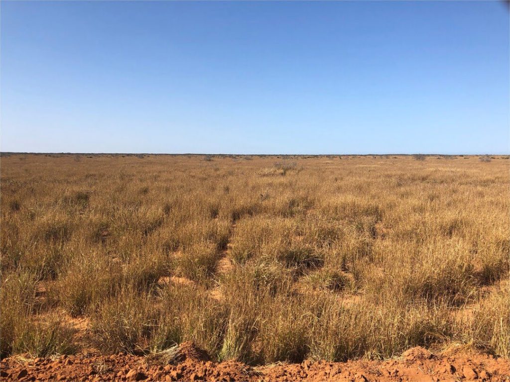Sun and wind on Boolathana for green energy production providing community benefits to Carnarvon