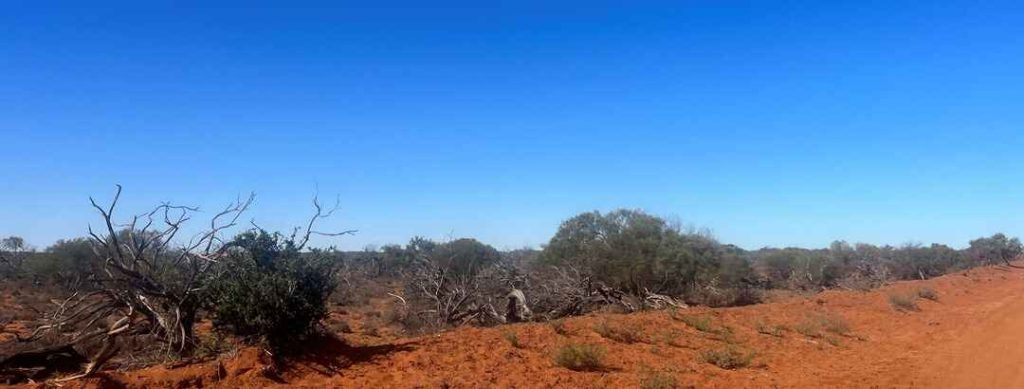 Strong measured solar resources Boolathana, Western Australia