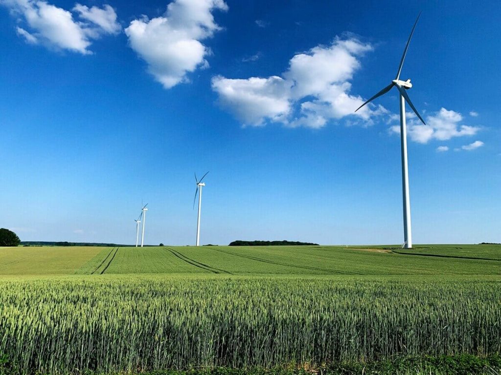 Gascoyne Green Energy decarbonising the ammonia industry such as fertiliser