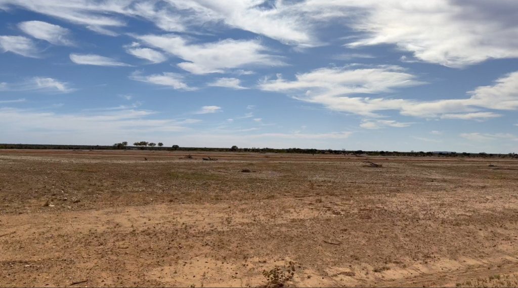 Open Boolathana landscape surveyed for flora and fauna baseline studies