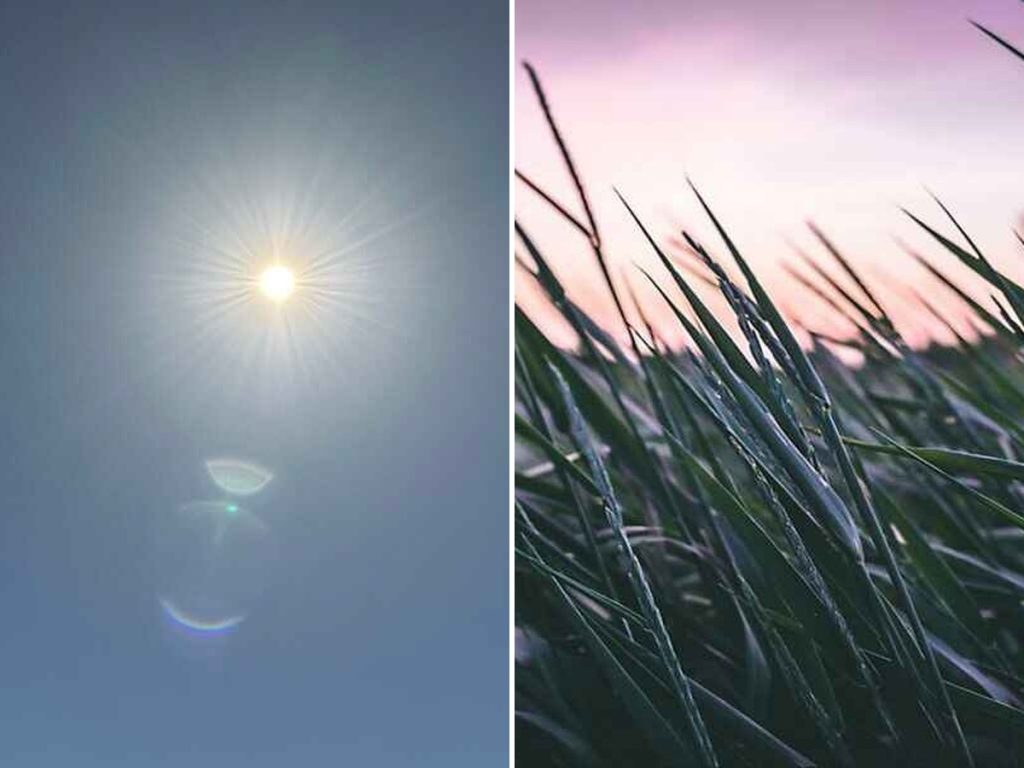 Boolathana - solar by day wind by night